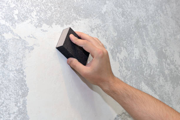 Best Air Quality Testing for Mold Spores  in Forest, MS