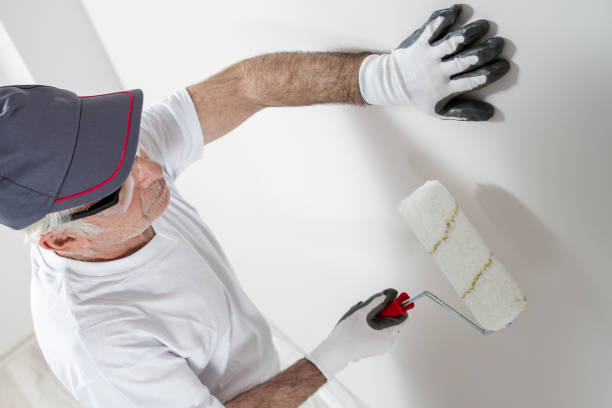Best Environmental Consulting for Mold Prevention  in Forest, MS