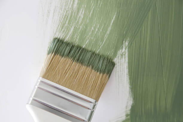 Best Water Damage & Mold Remediation  in Forest, MS