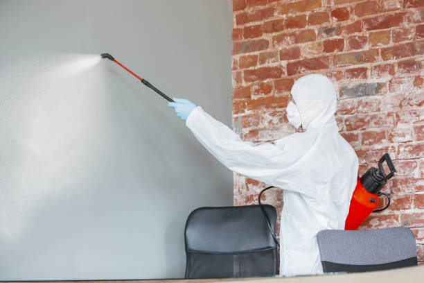 Best Forensic Mold Investigation  in Forest, MS