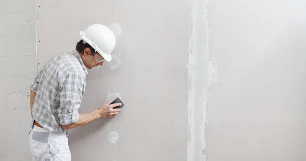 Best Industrial Mold Remediation  in Forest, MS