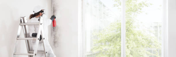 Best Mold Documentation for Insurance Claims  in Forest, MS