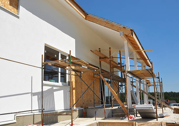 Best Mold Damage Restoration  in Forest, MS